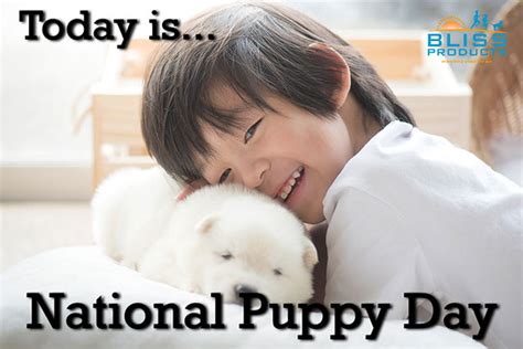 National Puppy Day Bliss Products And Services