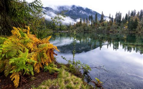 Montaña Lago Niebla Paisaje Forestal Ultrahd 4k Widescreen Fondo De