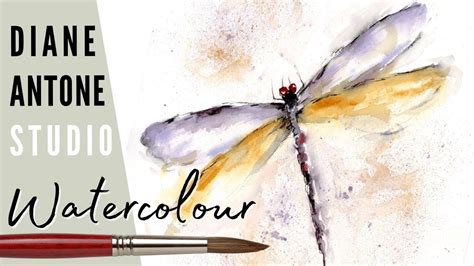 How To Paint A Five Minute Watercolour Dragonfly Natural World