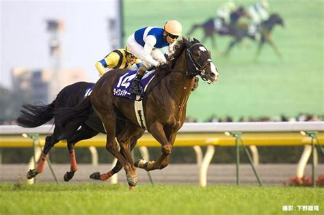の野望はセンスあった 偽装タイトルのセンスいい投稿者は神 久しぶりにキャビン見てみるか タイピング遅いのかわいい な. 2006年天皇賞・秋/ダイワメジャー