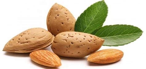 هل تعاني من التهاب في الحلق؟ هل الحلق مؤلم ، وخاصة أثناء البلع؟ 1. ما هي فوائد اللوز للحامل؟ | معلومة ثقافية