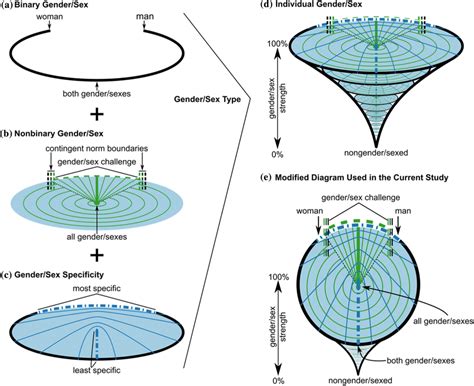 individual gender sex diagram adapted from van anders 2015 download scientific diagram