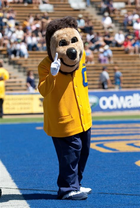 83 Best College Mascots Pac 12 Images On Pinterest