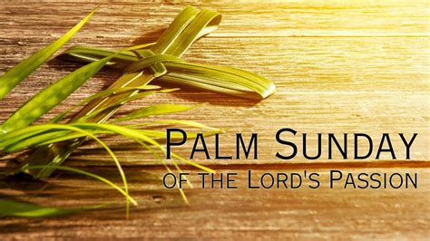 Palm Sunday Of The Lords Passion 830 Am Mass April 2 2023 Youtube