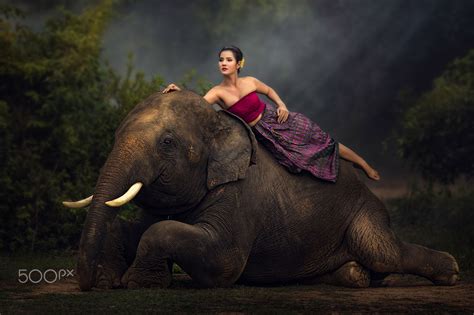 Women With Elephant Women With Elephant Elephants Photos