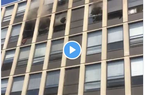 Watch What Happens When Cat Leaps From 5th Floor Window Of Burning Building