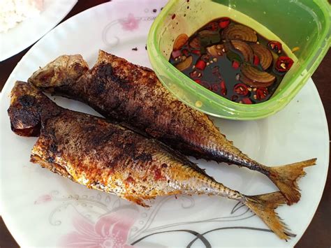 Ikan lele merupakan jenis ikan tawar yang memiliki kandungan protein tinggi, rendah lemak serta mengandung fosfor yang ikan lele dapat dihidangkan menjadi beragam olahan masakan yang lezat dan tak hanya digoreng. Resepi Ikan Cencaru Sambal Kicap ~ Resep Masakan Khas