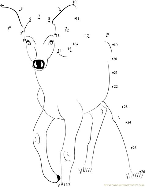 Deer Baby Dot To Dot Printable Worksheet Connect The Dots