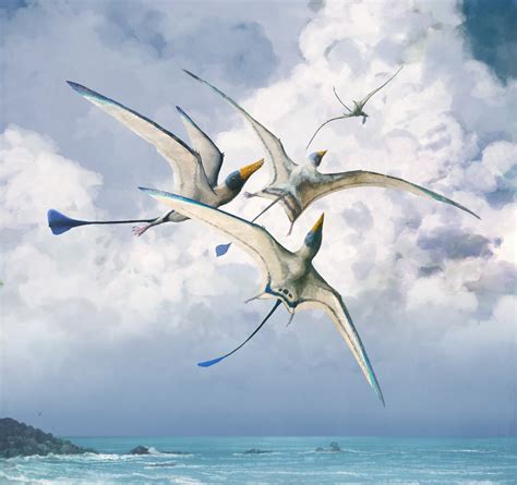 Prehistoric Flying Reptiles Evolved To Become Kings Of The Sky