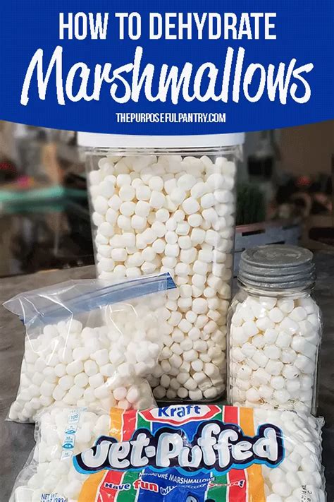 1 regular marshmallow = 13 mini marshmallows. How to Dehydrate Marshmallows & Make Marshmallow Powder ...