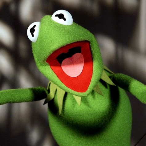 Kermit The Frog Filmography Muppet Wiki Fandom Vlrengbr