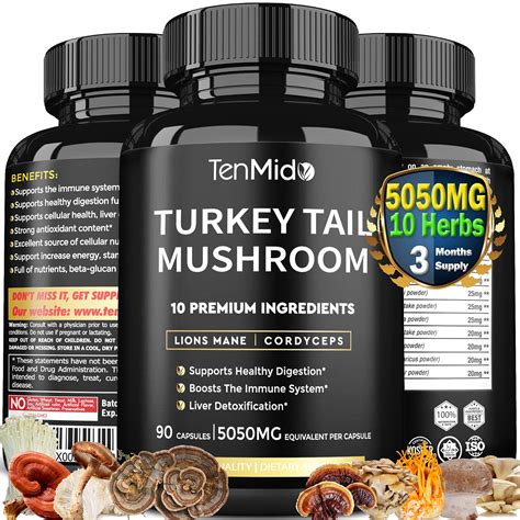 buy turkey tail mushroom extract 5050mg and lions mane cordyceps reishi and more 10 s in 1