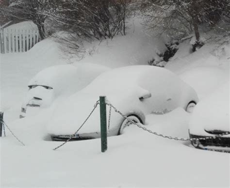 Snow Face Car Pareidolia