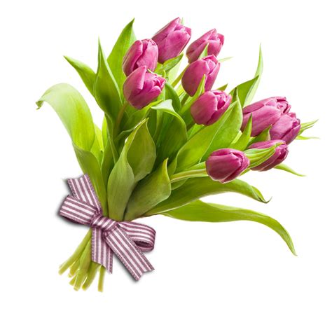 Welcome Flowers Png 10 Free Cliparts Download Images On Clipground 2024