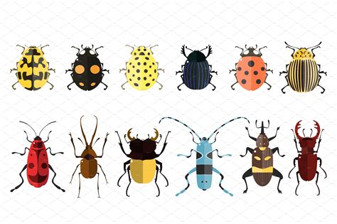 Vector Bugs Icons ~ Creative Market