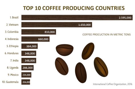 39 Best Coffee Producers In The World Ayla Pics Gallery