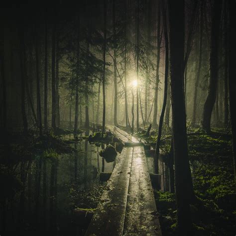 Path In The Forest Night Sky Photography Nature Photography Night