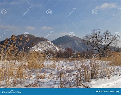 Winter Meadow At A Hill Slope Stock Image Image Of Noluby Cloud