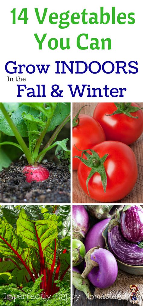 14 Vegetables You Can Grow Indoors In The Fall And Winter Winter