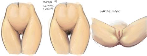 Hentai View Topic Help On Drawing Female Genitalia