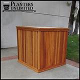 Pictures of Commercial Large Planters