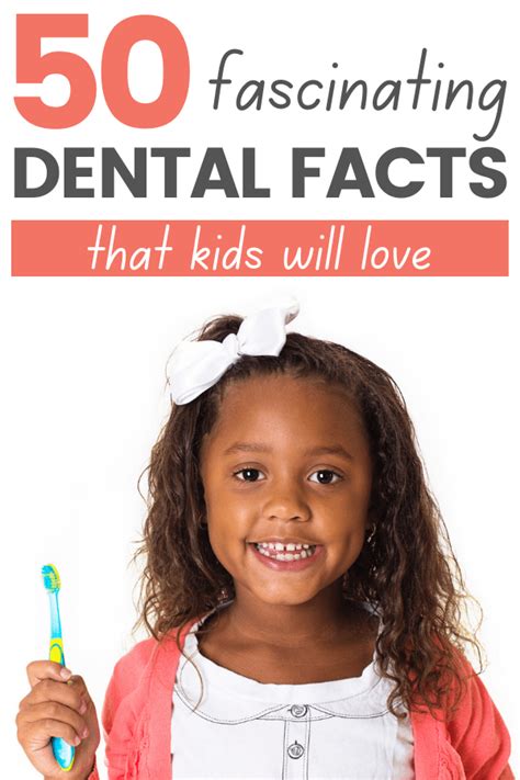 50 Fascinating Dental Facts For Kids Homeschool Health Curriculum