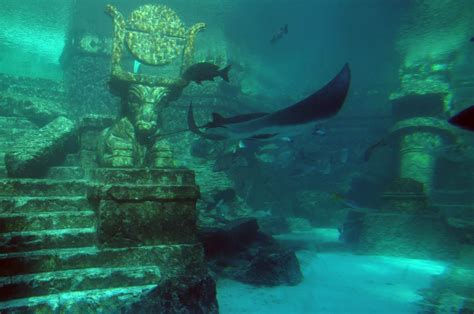 Dive Deeper Into An Ocean Of Awesome Things Underwater City Sunken
