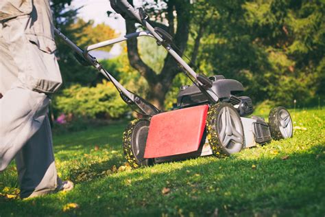 It is even a much better remedy if your here are great tips for overseeding your lawn without aerating: The Benefits of Overseeding: Why Your Lawn Needs It