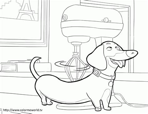 The Secret Life Of Pets Coloring Page Coloring Home