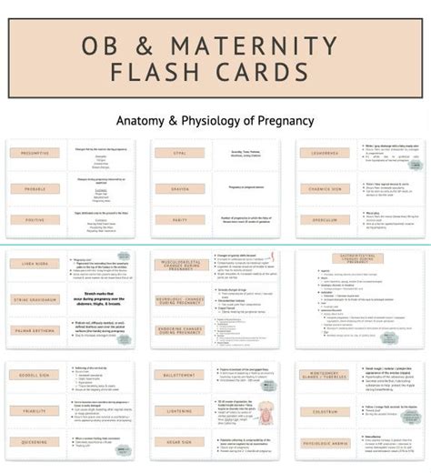 Ob And Maternity Bundle 17 Pages Gtpal Stages Of Labor Naegeles