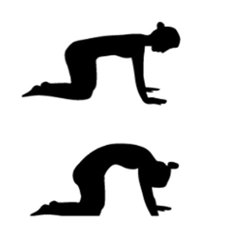 Down facing dog yoga pose sketch on white background. Mountain Yoga: Best Poses For Skiing and Snowboarding ...