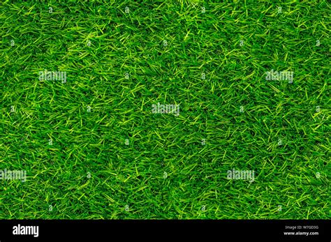 Grass Texture Seamless
