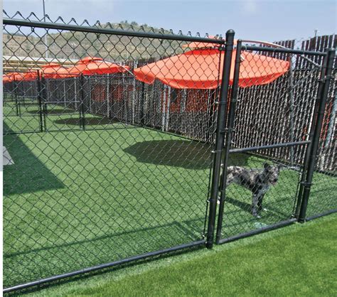 The perfect artificial grass lawn area! Pin by Lani on Doggie Daycare & Boarding | Dog boarding ...
