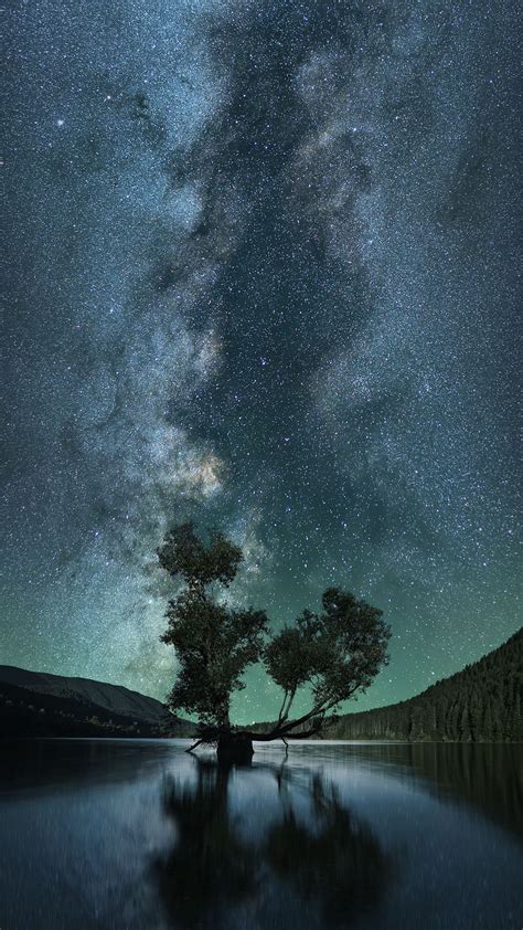 Download Wallpaper 1080x1920 Starry Sky Tree Lake Night Samsung
