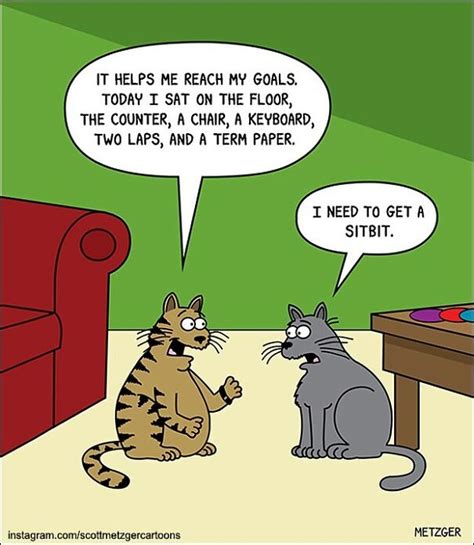 30 Funny Cat Comics By Scott Metzger That Might Make Every Cat Owner Cry With Laughter New Pics