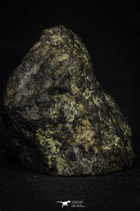 Nwa Unclassified Chondrite Meteorite 226g Polished Section Jurassic