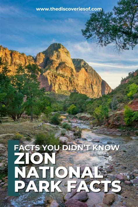 12 Fascinating Facts About Zion National Park Insiders Utah