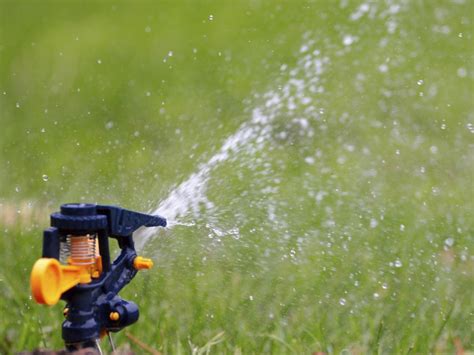 Learn The Right Way To Water Your Lawn Diy
