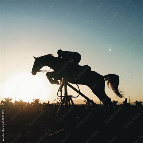 Jumping Horse Silhouette Stock Photo Adobe Stock