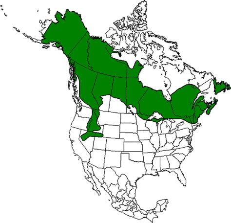 Climate Signals Distribution Of Moose In North America