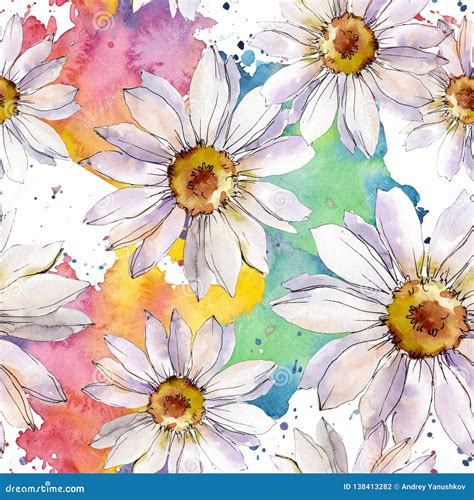 White Daisy Floral Seamless Pattern Stock Illustrations White
