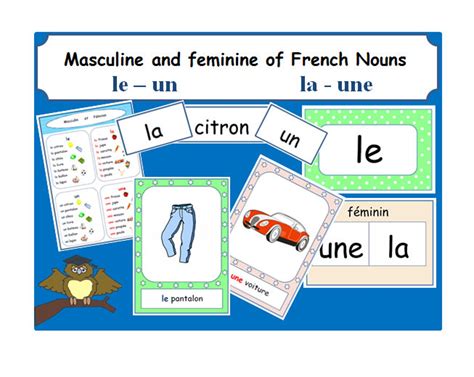 Masculine Feminine Of French Nouns Education Learn French Etsy Uk