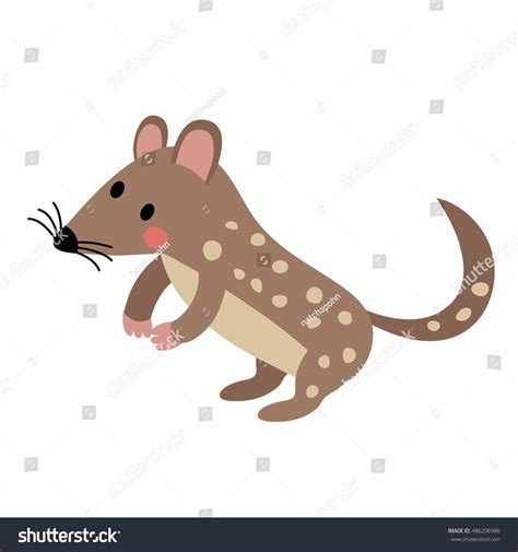 Standing Quoll Animal Cartoon Character Isolated Stock Vector Royalty