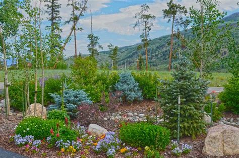 Adorable Mountain Best Landscaping Ideas 16 Interesting Mountain