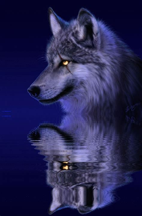 Wolves Reflection Peinture De Loup Images Loup Loup