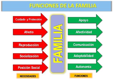 Arriba 98 Imagen Mapa Mental Sobre Las Funciones De La Familia