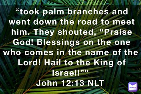 “took Palm Branches And Went Down The Road To Meet Him They Shouted