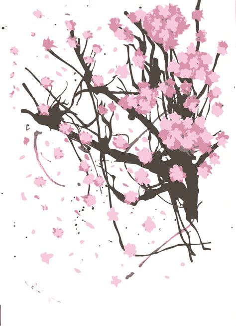 cherry blossom drawing painting art sakura png    transparent pink