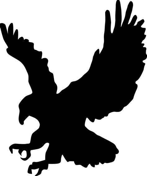 Download Bald Eagle Svg For Free Designlooter 2020 👨‍🎨