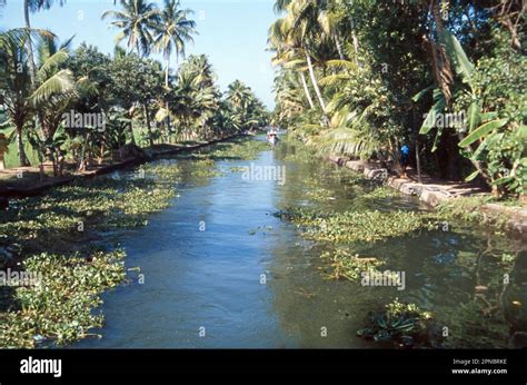 The Scenic Backwaters Of Kerala Comprise A Serene Stretch Of Lakes